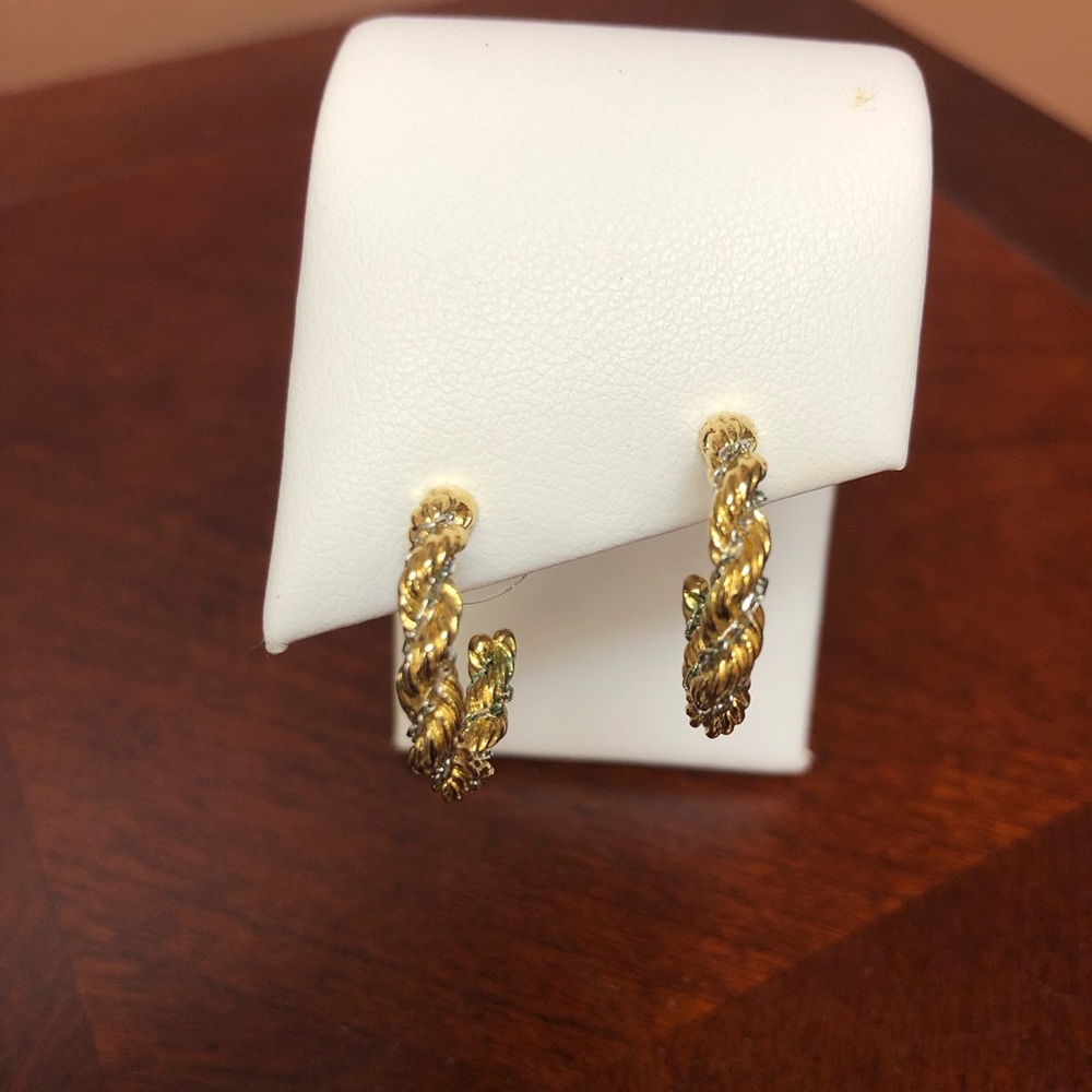 Two Tone Hoop Earrings